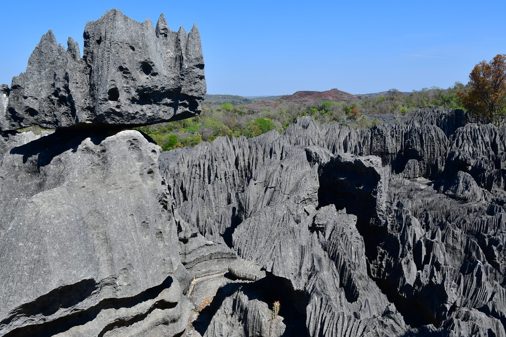 Tsingy of Bemaraha N.P.